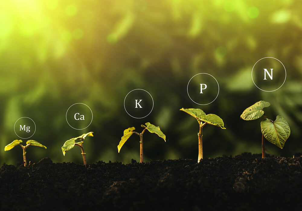 Image hover effect image