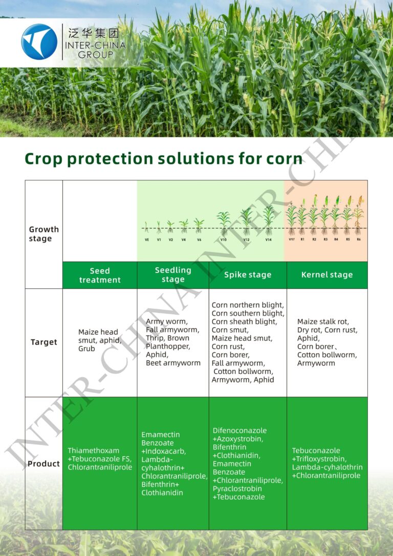Solution Corn