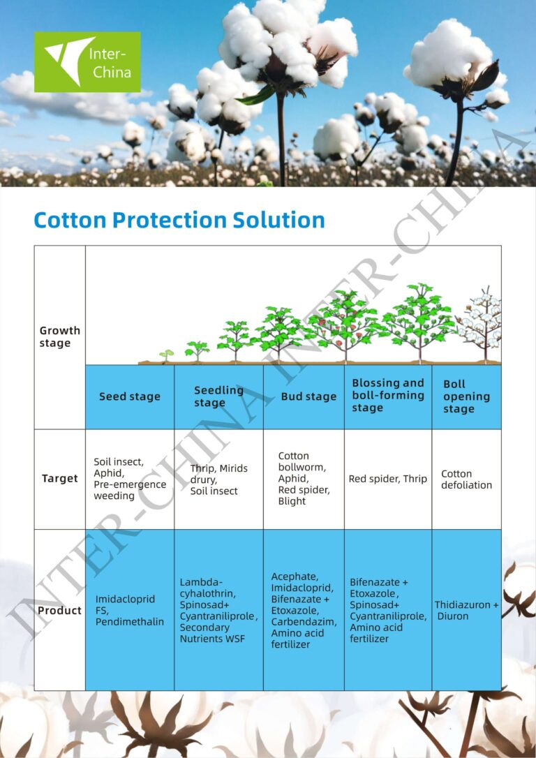 Solution Cotton