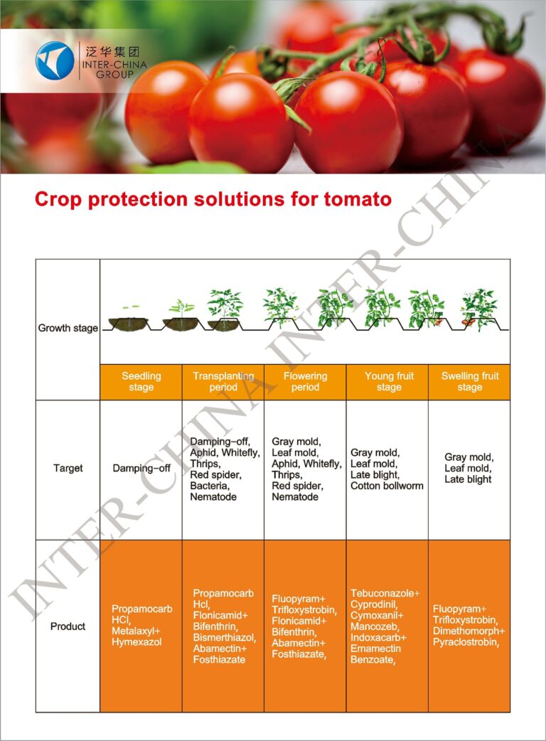 Solution Tomato