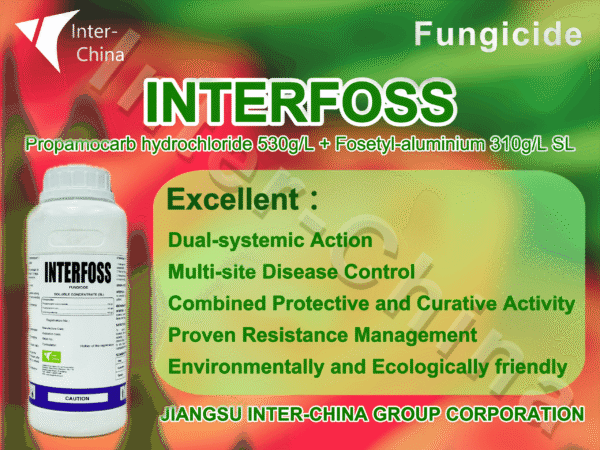 Interfoss
