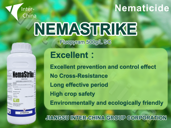 Namestrike