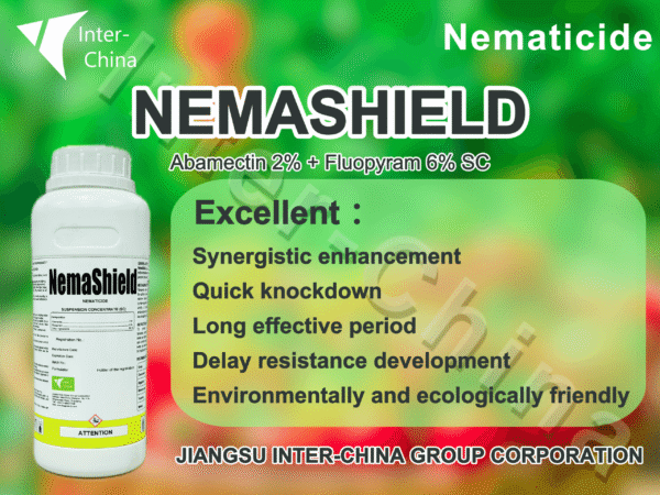Nameshield
