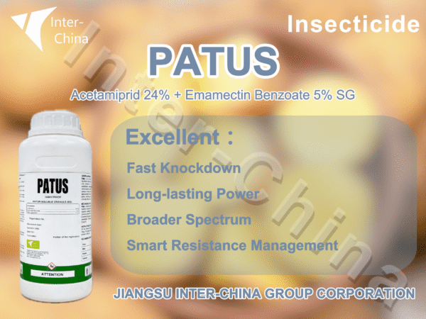 Patus