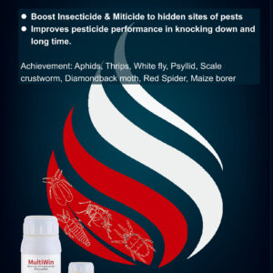 Multiwin Activator 1